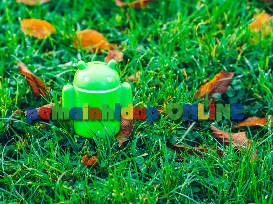Update Android Terbaru! Keren Canggih!